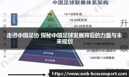 博万体育官网
